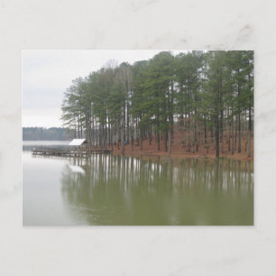 Tupelo Landschaftsfotografie mit Spiegelungen an S Postkarte