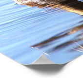Tüpfelsumpfhuhn-Vogelposter Poster (Ecke)