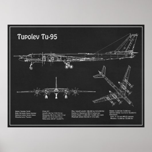 Tupolev Tu-95 - Flugzeugkonzepte PD Poster (Vorne)