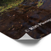 Tupper Lake in den Adirondacks, Print 08 240 Poster (Ecke)