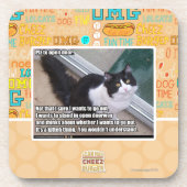 Tür öffnen untersetzer (Vorderseite)