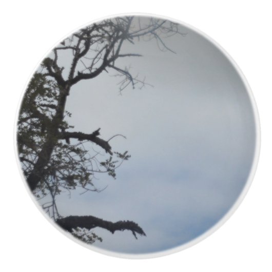 TÜR PULL KERAMIK STIL DESIGN KERAMIKKNAUF (Vorderseite)