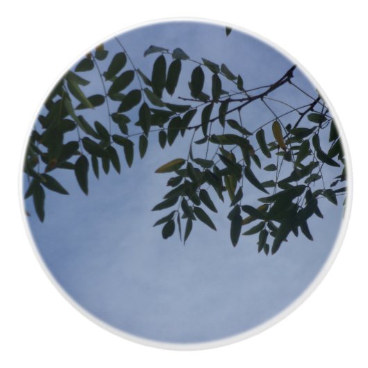 TÜR PULL KERAMIK STIL DESIGN KERAMIKKNAUF (Vorderseite)