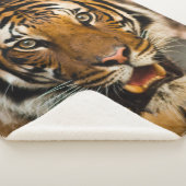 TÜR SHERPADECKE (3/4)