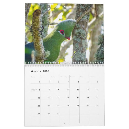 Turaco Bird 2025 - Kalender (Mär 2026)