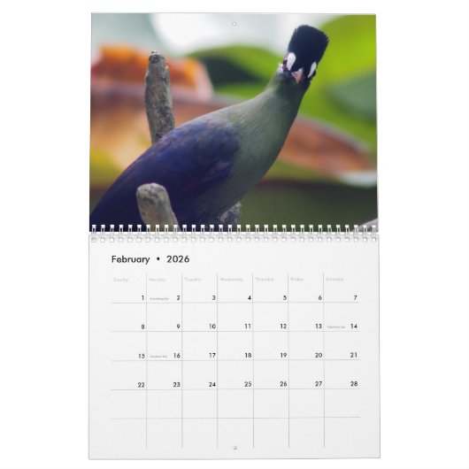 Turaco Bird 2025 - Kalender (Feb 2026)
