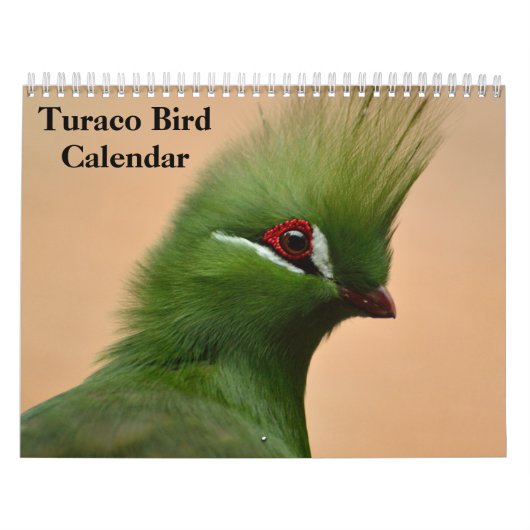 Turaco Bird 2025 - Kalender (Titelbild)