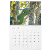 Turaco Bird 2025 - Kalender (Mär 2027)
