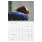 Turaco Bird 2025 - Kalender (Jan 2027)