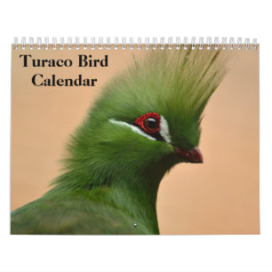 Turaco-Vogel 2027 Kalender