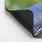 Turako Mousepad (Ecke)