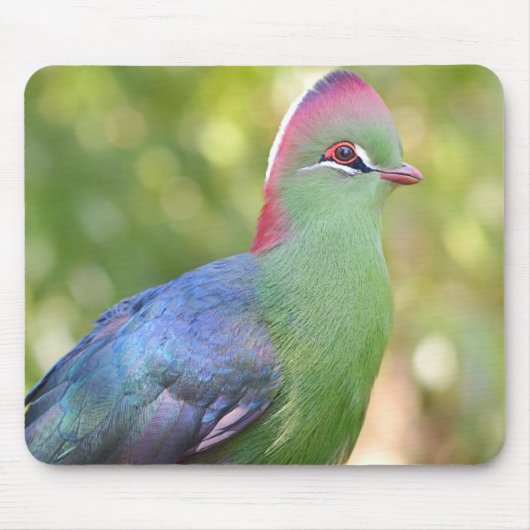 Turako Mousepad (Vorne)