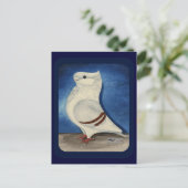 Turbit-Taube 1979 Postkarte (Stehend Vorderseite)