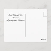 Türen von San Miguel De Allende, Guanajuato, Mexik Postkarte (Rückseite)