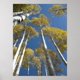 Türenden (5) Plakat