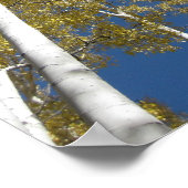 Türenden (5) Plakat (Ecke)