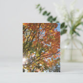 Türfall des Landkreises Postkarte (Stehend Vorderseite)