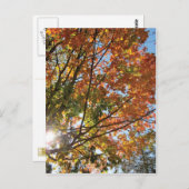 Türfall des Landkreises Postkarte (Vorne/Hinten)