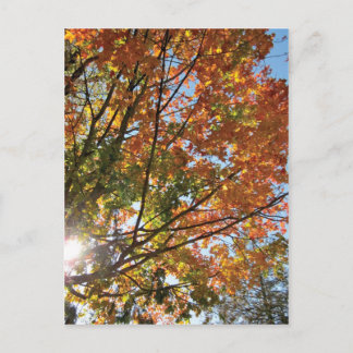 Türfall des Landkreises Postkarte