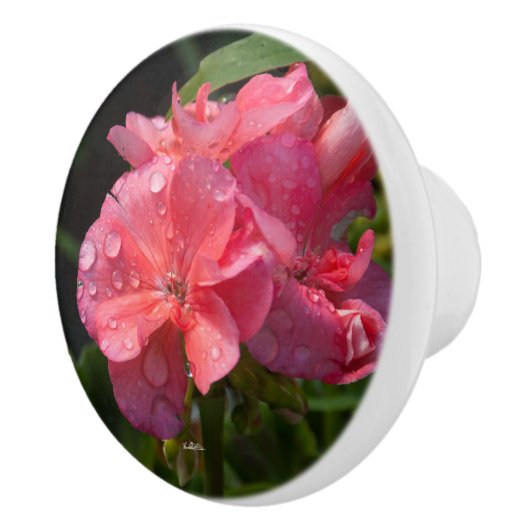 Türgriff, rosa Blume Keramikknauf (Rechts)