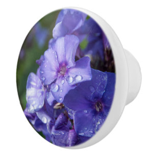Türgriff, violette Blume Keramikknauf