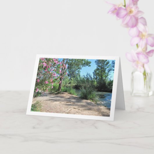 Turia River, Vilamarxant, Valencia, Spanien, Spani Karte (Orchidee)