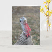 Turk, Turk, Türkei Karte (Gelbe Blume)