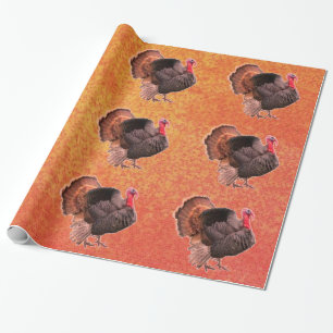 Türkei 4 Umlaufpapier Geschenkpapier