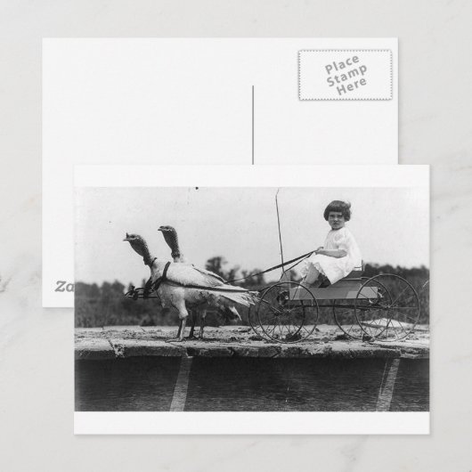 Türkei-Beförderung Postkarte (Vorne/Hinten)