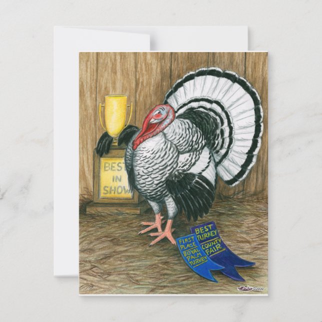 Türkei: Beste Show (Vorderseite)