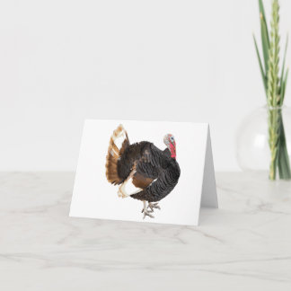 Türkei-Blankokarte Karte