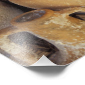 Türkei, Bodrum, Türkisküste, Bodrum Fotodruck (Ecke)