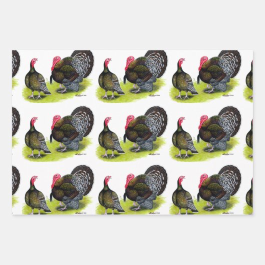 Türkei Broad Breastes Bronze Geschenkpapier Set (Vorderseite 3)