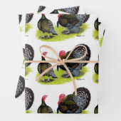 Türkei Broad Breastes Bronze Geschenkpapier Set (Beispiel)