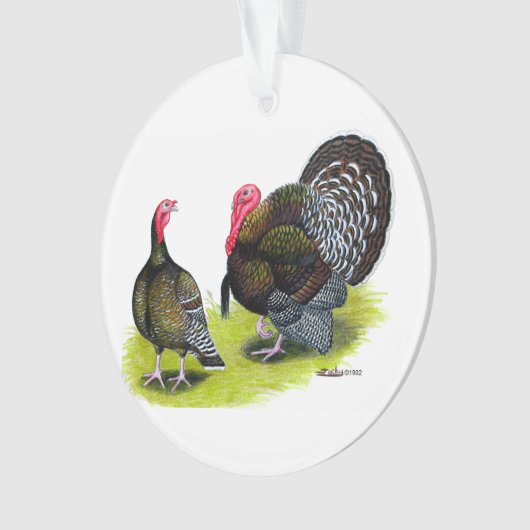 Türkei Broad Breastes Bronze Ornament (Vorderseite)