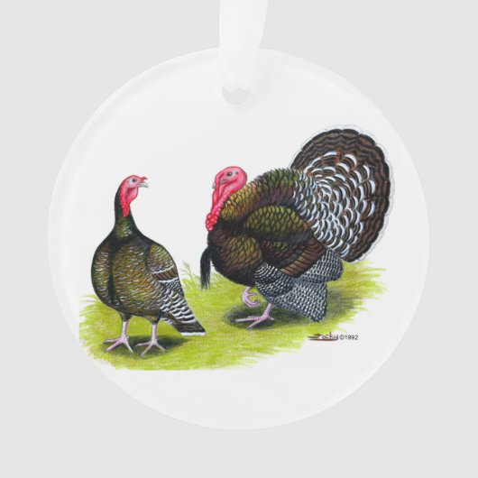 Türkei Broad Breastes Bronze Ornament (Vorderseite)