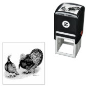 Türkei Broad Breastes Bronze Permastempel (Beispiel)