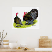 Türkei Broad Breastes Bronze Poster (Küche)