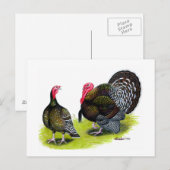 Türkei Broad Breastes Bronze Postkarte (Vorne/Hinten)