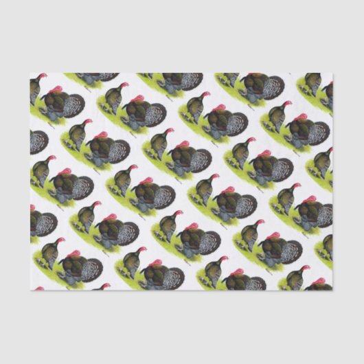 Türkei Broad Breastes Bronze Seidenpapier (Vorderseite)