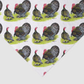 Türkei Broad Breastes Bronze Seidenpapier (Ausschnitt)