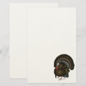 Türkei Bronze Tom Briefpapier (Vorne/Hinten)