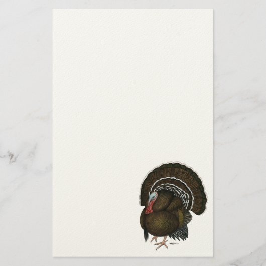 Türkei Bronze Tom Briefpapier (Vorderseite)