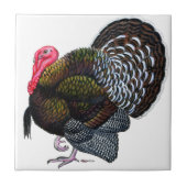 Türkei: Bronze Tom Fliese (Vorderseite)