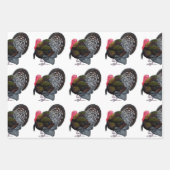 Türkei:  Bronze Tom Geschenkpapier Set (Vorderseite 2)