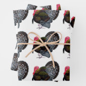 Türkei:  Bronze Tom Geschenkpapier Set (Beispiel)