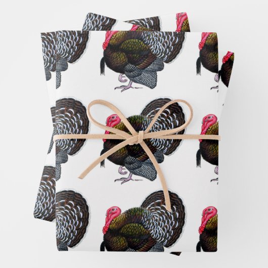 Türkei:  Bronze Tom Geschenkpapier Set (Beispiel)