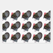 Türkei:  Bronze Tom Geschenkpapier Set (Vorderseite)