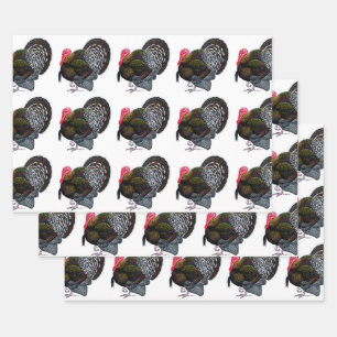 Türkei:  Bronze Tom Geschenkpapier Set