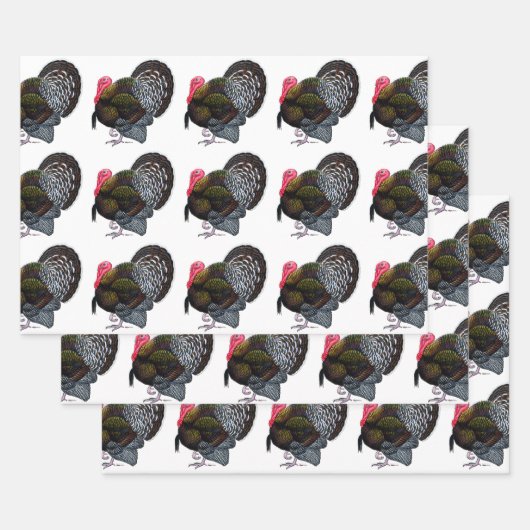 Türkei:  Bronze Tom Geschenkpapier Set (Set)